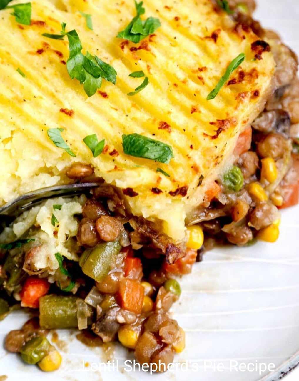 Lentil Shepherd's Pie Recipe: A Hearty and Wholesome Vegan Delight This lentil shepherd's pie is a delectable twist on the classic, replacing traditional lamb with protein-packed lentils. It's a comforting and satisfying dish topped with creamy potatoes, perfect for those seeking a wholesome, plant-based option.
